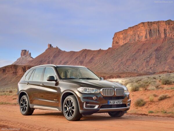 Medžiaginiai automobilio kilimėliai BMW X5 F15 2013-2018