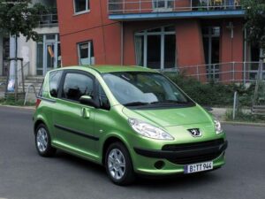 Medžiaginiai automobilio kilimėliai PEUGEOT 1007 2005-2009