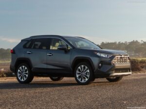 Medžiaginiai automobilio kilimėliai RAV 4 2016-2019